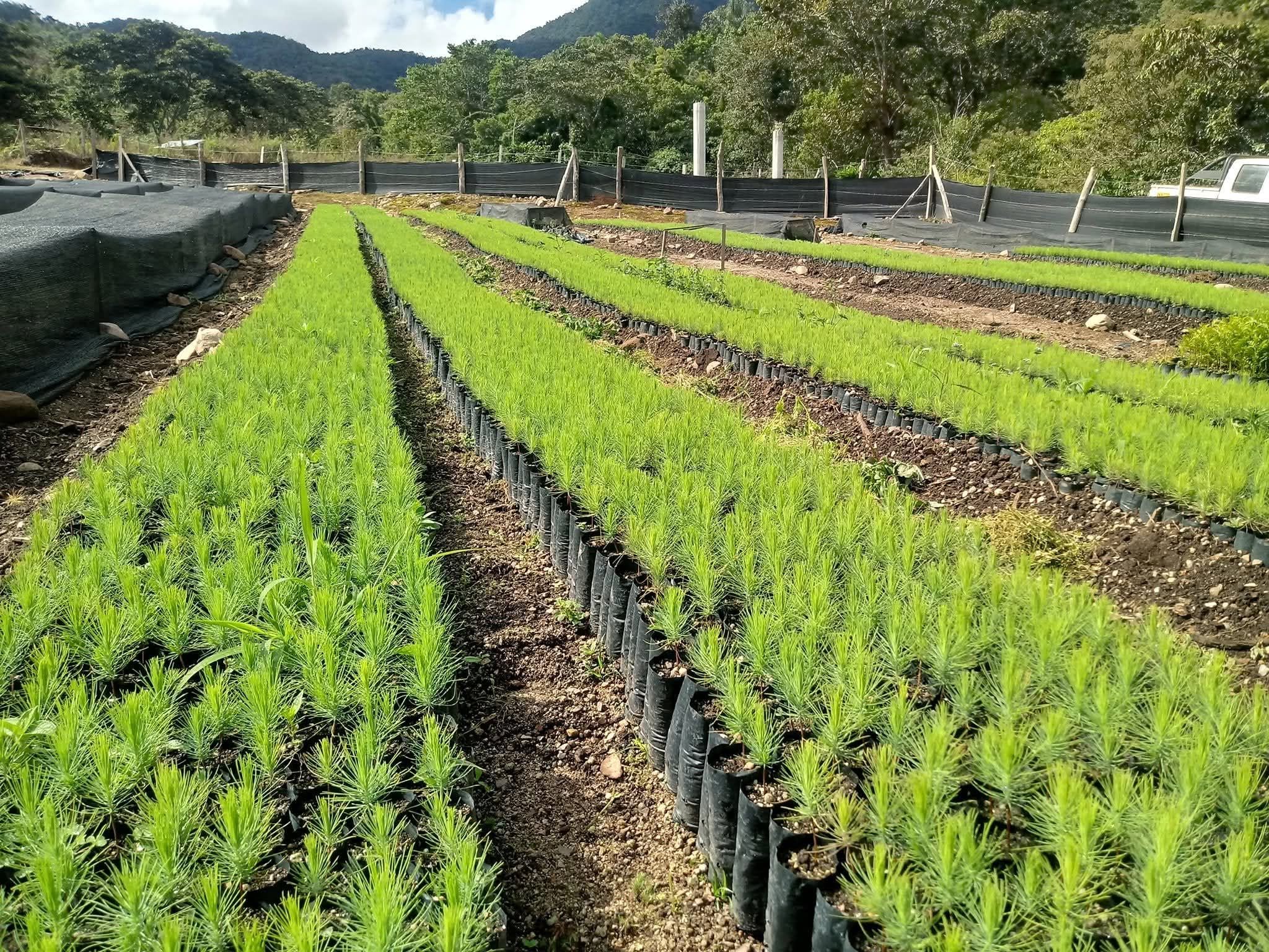 Producción por volumen